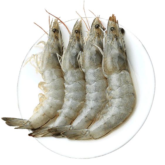 Black Tiger Shrimp